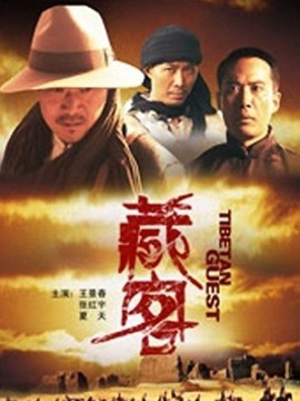 藏客剧情介绍_天天影视