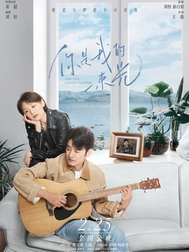 你是我的一束光剧情介绍_天天影视