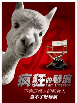 疯狂的导演剧情介绍_天天影视