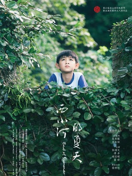 西小河的夏天剧情介绍_天天影视