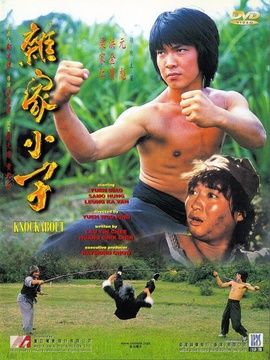 杂家小子剧情介绍_天天影视