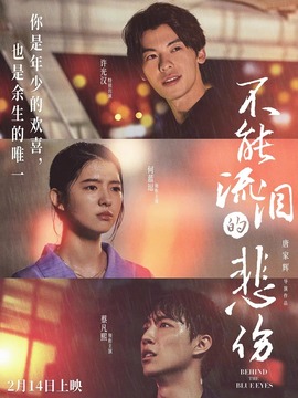 不能流泪的悲伤剧情介绍_天天影视