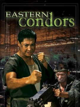 东方秃鹰剧情介绍_天天影视