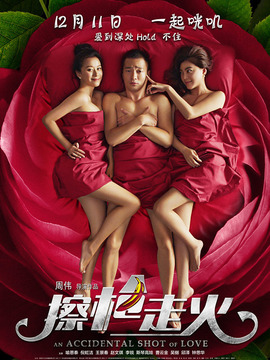 擦枪走火剧情介绍_天天影视