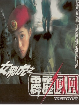 霹雳凤凰剧情介绍_天天影视