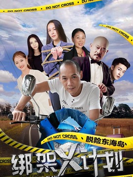 绑架X计划剧情介绍_天天影视