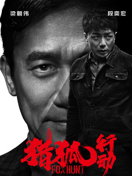 猎狐行动剧情介绍_天天影视