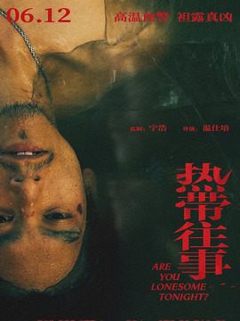 热带往事剧情介绍_天天影视