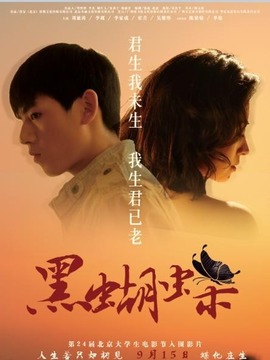 黑蝴蝶剧情介绍_天天影视