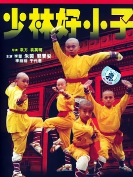 少林龙小子剧情介绍_天天影视