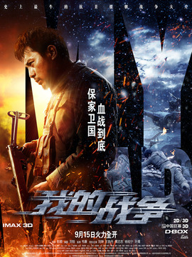我的战争剧情介绍_天天影视