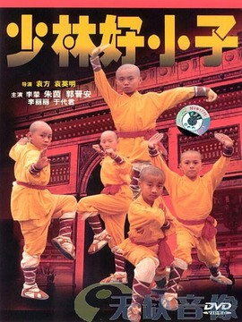 少林好小子剧情介绍_天天影视