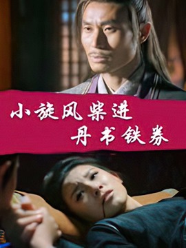 小旋风柴进之丹书铁劵剧情介绍_天天影视