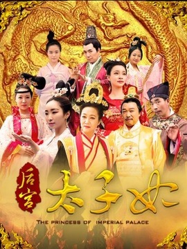 后宫太子妃剧情介绍_天天影视