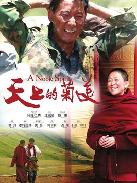 天上的菊美剧情介绍_天天影视