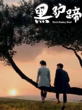 黑驴蹄剧情介绍_天天影视