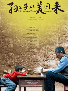 孙子从美国来剧情介绍_天天影视