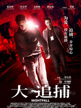 大追捕剧情介绍_天天影视