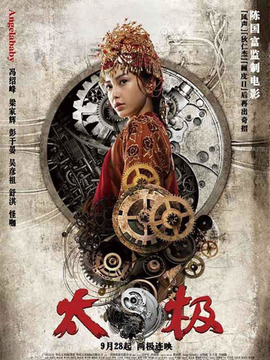 太极3：巅峰在望剧情介绍_天天影视