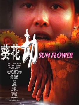 葵花劫剧情介绍_天天影视