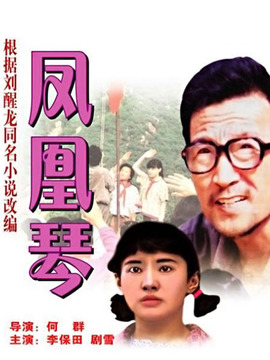 凤凰琴剧情介绍_天天影视