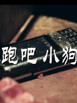 奔跑吧！狗狗剧情介绍_天天影视