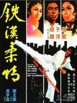 铁汉柔情剧情介绍_天天影视