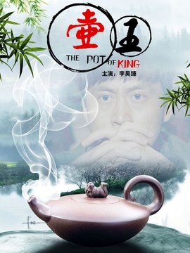 壶王剧情介绍_天天影视