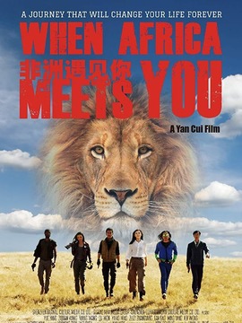 非洲遇见你剧情介绍_天天影视