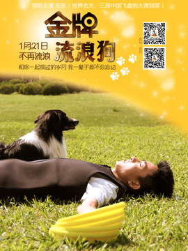 金牌流浪狗剧情介绍_天天影视