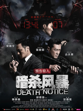 暗杀风暴剧情介绍_天天影视