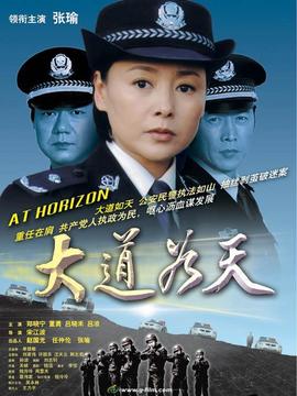 大道如天剧情介绍_天天影视