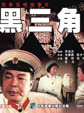 黑三角剧情介绍_天天影视