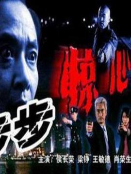 步步惊心剧情介绍_天天影视