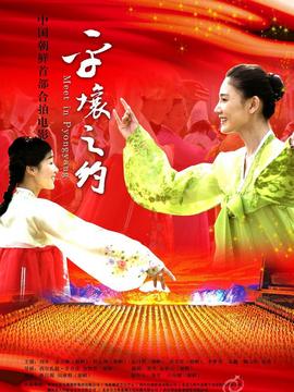 平壤之约剧情介绍_天天影视