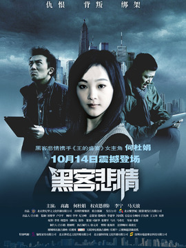 黑客悲情剧情介绍_天天影视