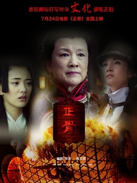正骨剧情介绍_天天影视