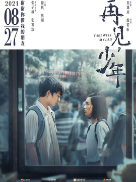再见，少年剧情介绍_天天影视