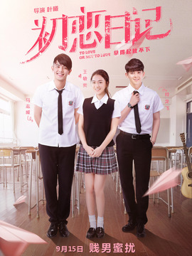 初恋日记剧情介绍_天天影视