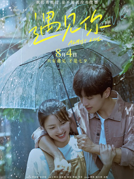 遇见你剧情介绍_天天影视