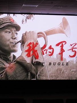 我的军号剧情介绍_天天影视