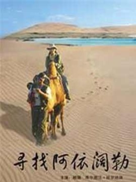 寻找阿依阔勒剧情介绍_天天影视