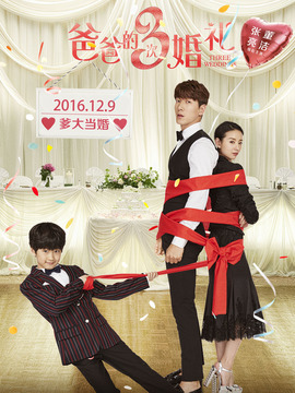 爸爸的3次婚礼剧情介绍_天天影视