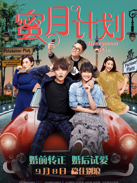 蜜月计划剧情介绍_天天影视