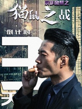 反诈风暴之猫鼠之战剧情介绍_天天影视