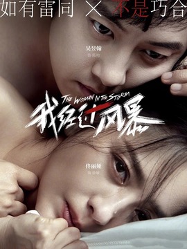 我经过风暴剧情介绍_天天影视