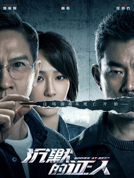 沉默的证人剧情介绍_天天影视