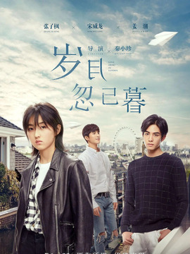 岁月忽已暮剧情介绍_天天影视