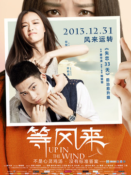等风来剧情介绍_天天影视