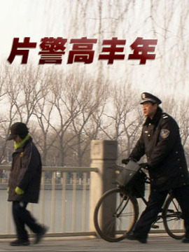 片警高丰年剧情介绍_天天影视